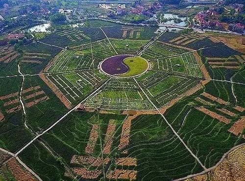 风水师真假
