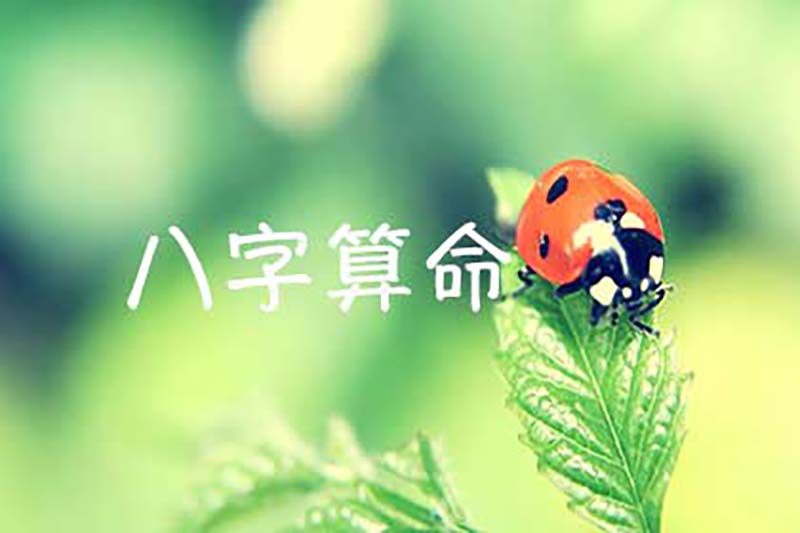 八字算命