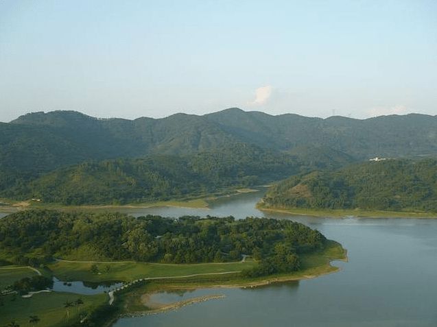 生基